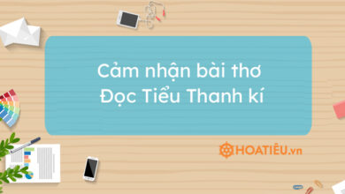 Top 5 bai cam nhan Doc Tieu Thanh ki hay