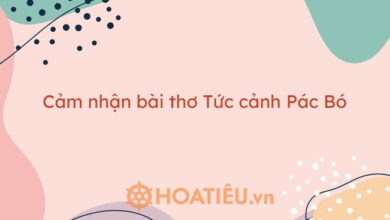 Top 5 bai cam nhan bai tho Tuc canh Pac