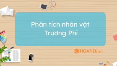 Top 5 bai phan tich nhan vat Truong Phi hay