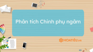 Top 5 mau phan tich Chinh phu ngam hay chon