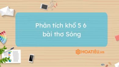 Top 6 mau phan tich kho 5 6 bai Song