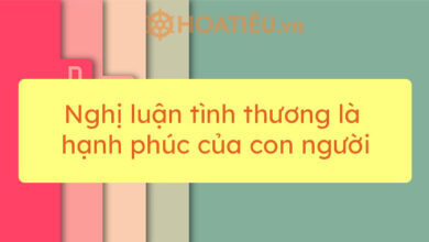 Top 7 bai Nghi luan tinh thuong la hanh phuc