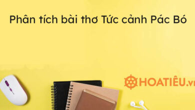Top 7 bai phan tich bai tho Tuc canh Pac
