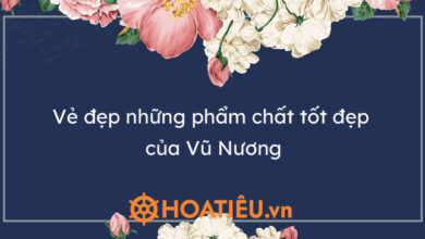 Top 7 bai phan tich ve dep cua Vu Nuong