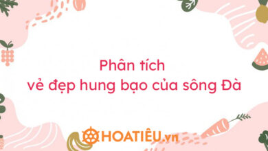Top 7 bai phan tich ve dep hung bao cua