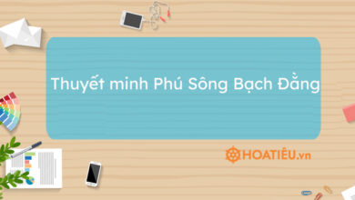 Top 7 bai thuyet minh Phu Song Bach Dang sieu