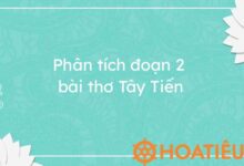 Top 8 bai phan tich doan 2 Tay Tien hay