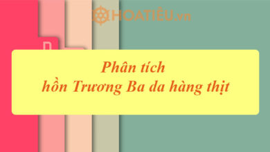 Top 9 bai phan tich hon Truong Ba da hang