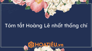 Top 9 bai tom tat Hoang Le nhat thong chi
