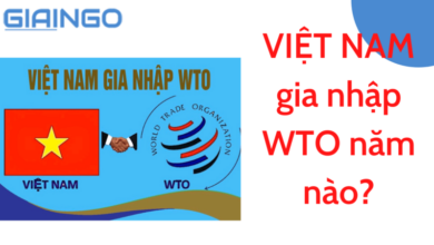 Viet Nam gia nhap WTO nam nao La thanh vien