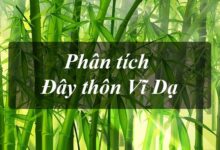 Top 11 bai phan tich Day thon Vi Da hay