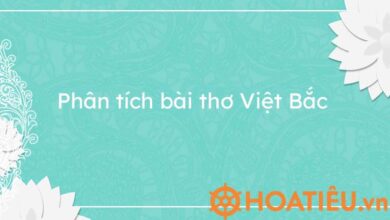 Top 7 mau Phan tich Viet Bac hay nhat chon