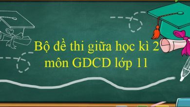 Bo de thi giua hoc ki 2 mon GDCD lop 390x220 1