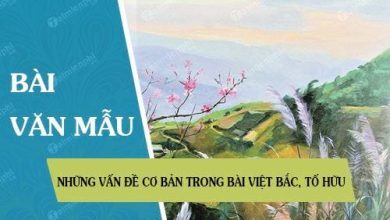 Nhung van de co ban trong bai Viet Bac To 390x220 1