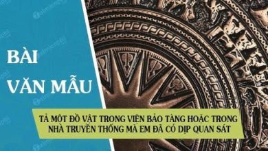 Ta mot do vat trong vien bao tang hoac trong 390x220 1