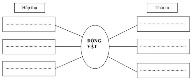 Đề thi học kì 2 môn Khoa học lớp 4