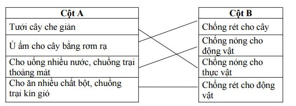 Đề thi học kì 2 môn Khoa học lớp 4