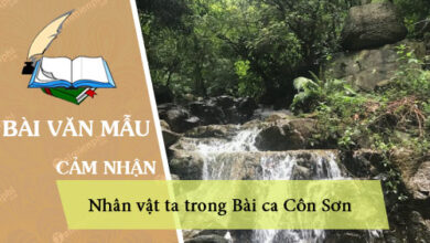 nhan vat ta trong bai ca con son