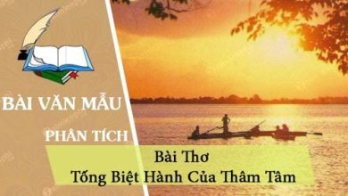 phan tich bai tho tong biet hanh cua tham tam 390x220 1