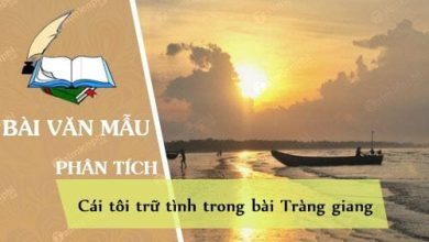 phan tich cai toi tru tinh trong bai trang giang 390x220 1