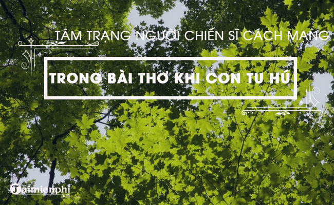 phan tich tam trang nguoi chien si cach mang trong bai tho khi con tu hu