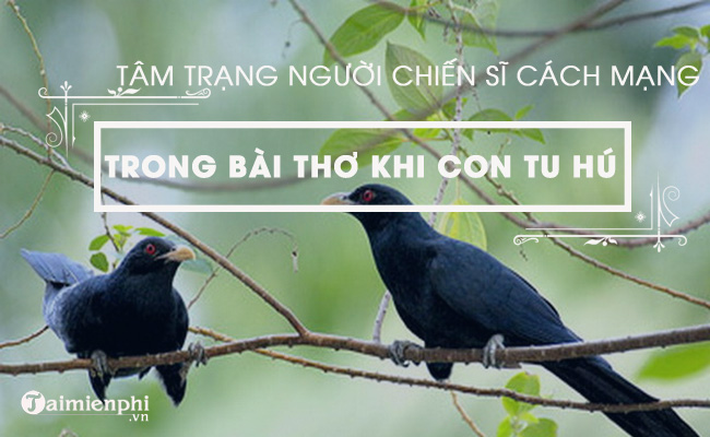 cam nhan ve tam trang nguoi chien si cach mang trong bai khi con tu hu