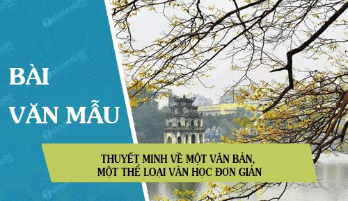 thuyet minh ve mot van ban mot the loai van hoc don gian