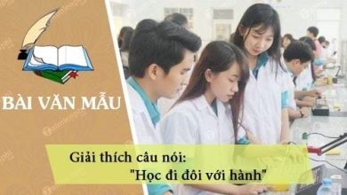 giai thich cau noi hoc di doi voi hanh 390x220 1