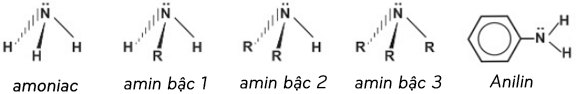 cấu trúc phân tử của amoniac và các amin