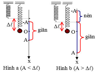 con lắc lò xo thẳng đứng