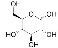 cấu tạo phân tử của glucozo mạch vòng