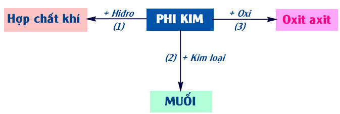 Tính chất hóa học của phi kim