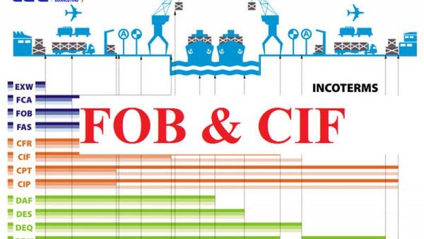 Sự khác nhau giữa CIF và FOB