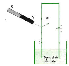 lực từ do nam châm tác dụng lên dòng điện