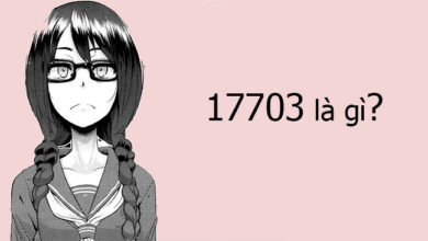 17703 là gì?