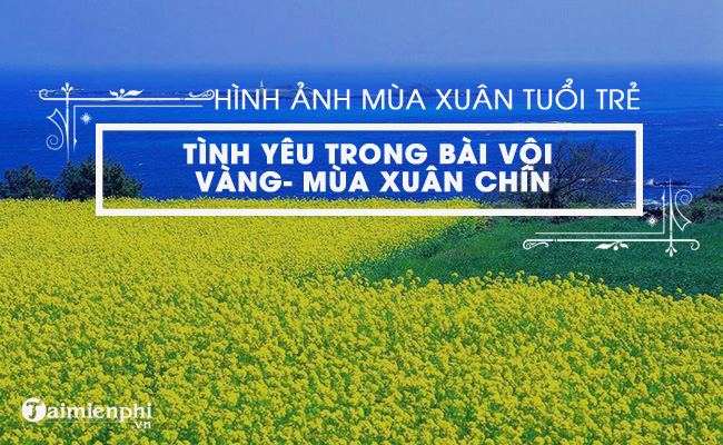 phan tich hinh anh mua xuan tuoi tre tinh yeu trong voi vang va mua xuan chin