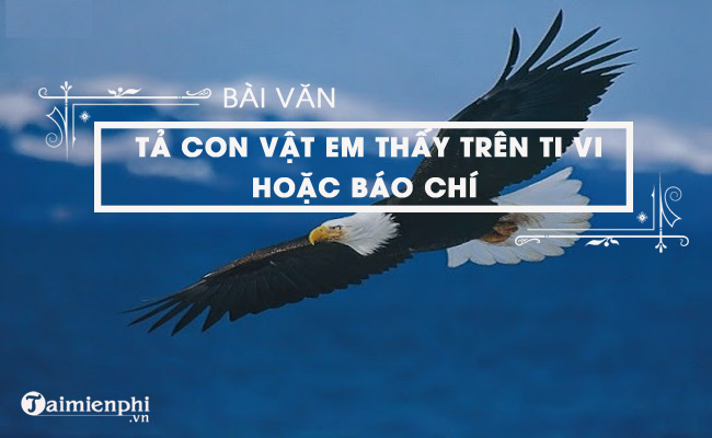 ta mot con vat em thay tren ti vi hoac bao chi