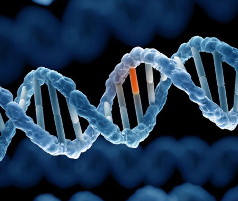 Đột biến gen là gì?