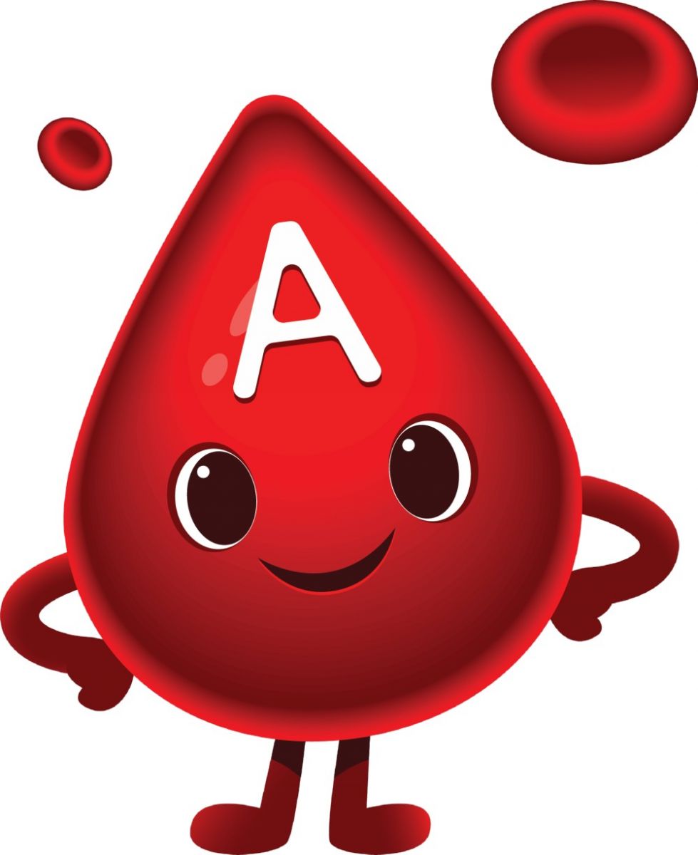 Sơ đồ truyền máu cơ bản như thế nào? 2