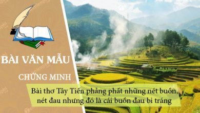 Bai tho Tay Tien co phang phat nhung net buon 390x220 1