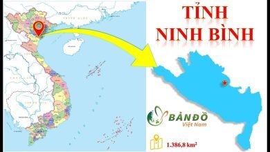 Ban do Hanh chinh tinh Ninh Binh moi nhat 390x220 2
