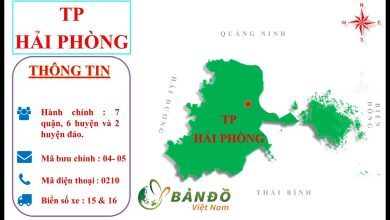 Ban do Thanh pho Hai Phong moi nhat 390x220 1