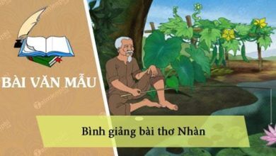 Binh giang bai tho Nhan cua Nguyen Binh Khiem 390x220 1