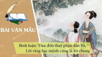 Binh luan cau tho Dau don thay phan dan ba 390x220 1