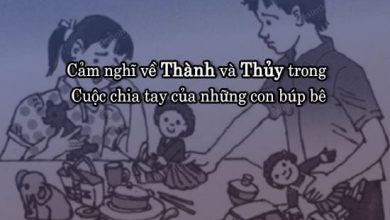 Cam nghi ve Thanh va Thuy trong Cuoc chia tay 390x220 1