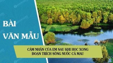 Cam nhan cua em sau khi hoc xong doan trich 390x220 2