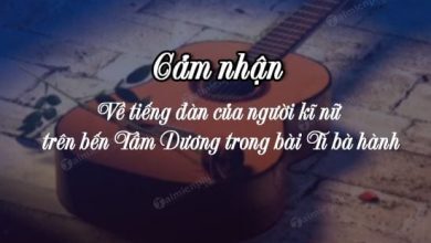 Cam nhan ve tieng dan cua nguoi ki nu tren 390x220 1