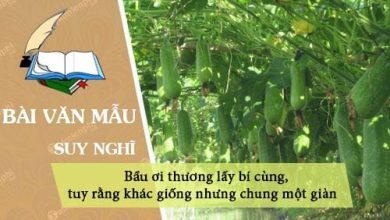 Chung minh cau ca dao Bau oi thuong lay bi 390x220 1