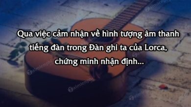 Chung minh nhan dinh Tieng dan la suc song va 390x220 1