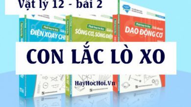 Con lac lo xo chu ky tan so the nang 390x220 1